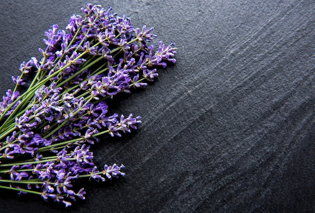 Fragrance Ambre Noir + Lavande