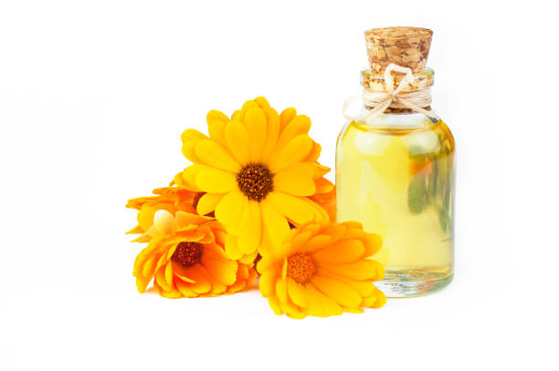 Calendula Oil Macerate